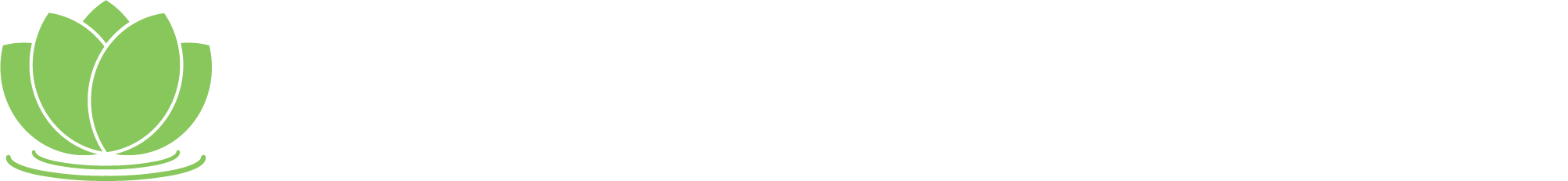 MEDHEALTH PRO